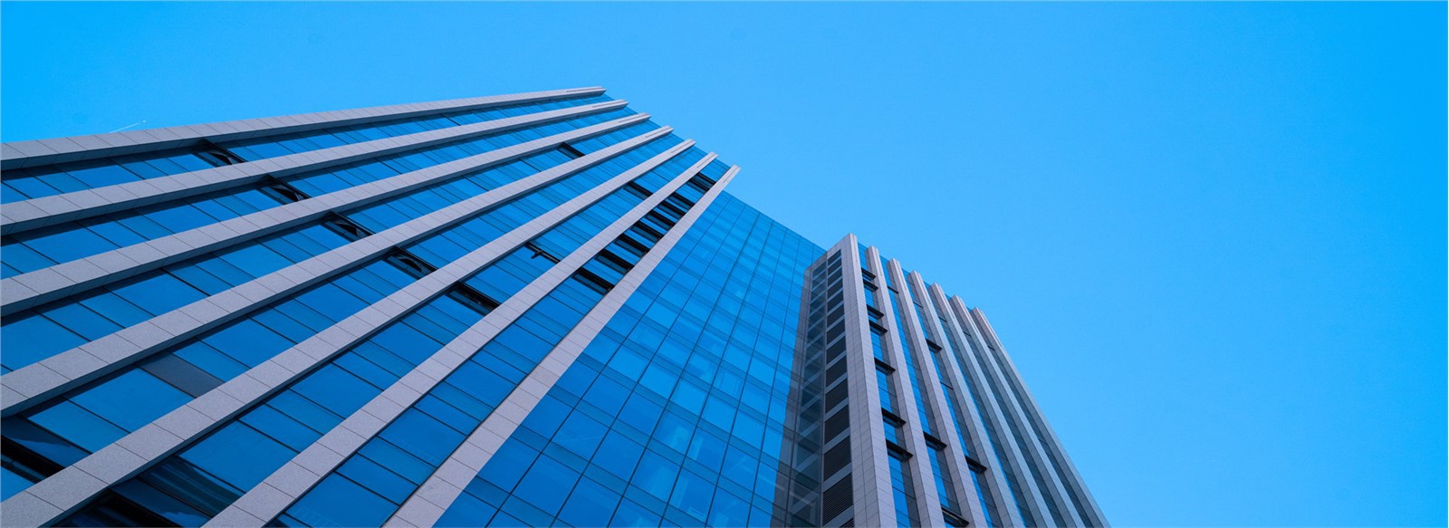 Shandong  Jingqin  Ippakkjar  Prodotti  Co., Ltd